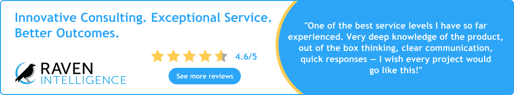 Raven Panel SAP SuccessFactors Solutions Image